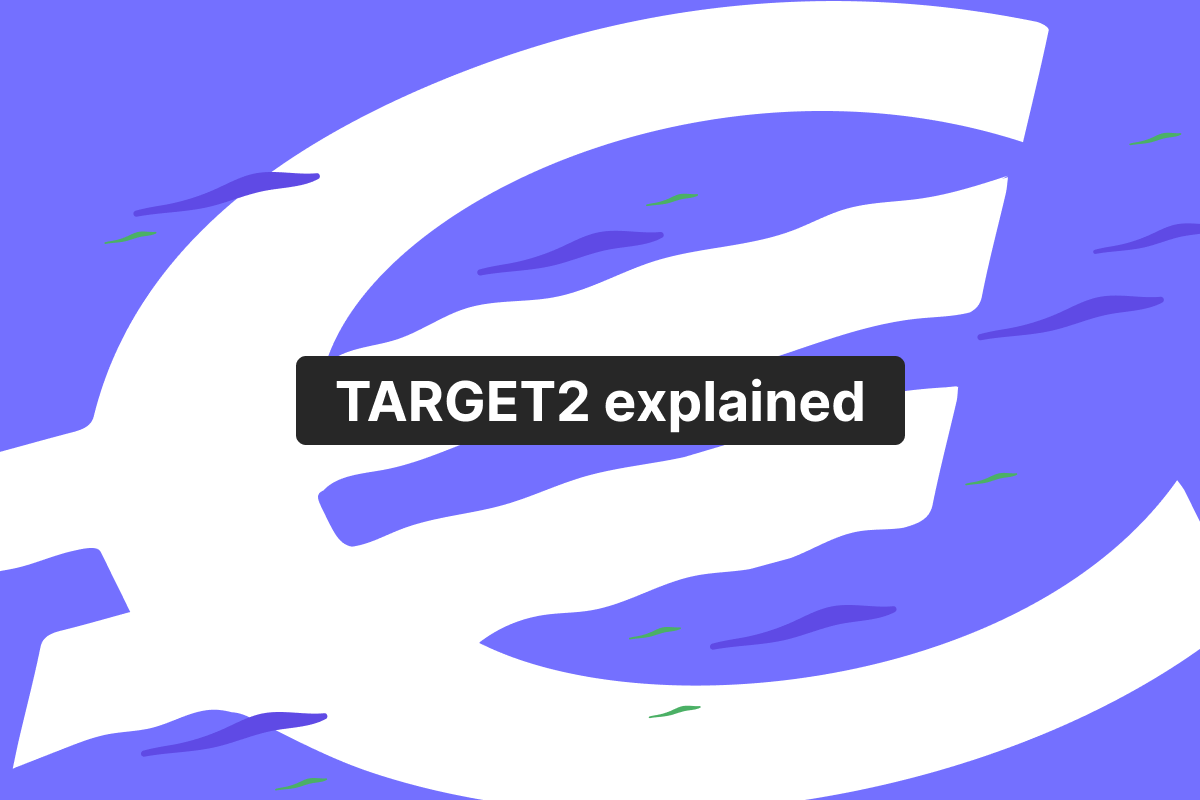 Understanding TARGET2 payments: Europe's centralized payment system