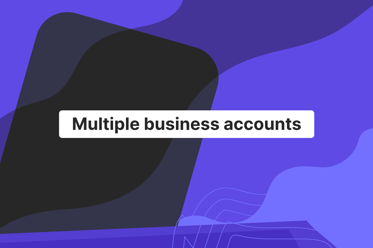 Why do companies require multiple business bank accounts?